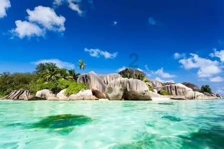 晋有二日,夏日烈阳,是为赵盾;楚国有鸟,一鸣惊人,那是熊旅