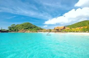失忆的流浪者