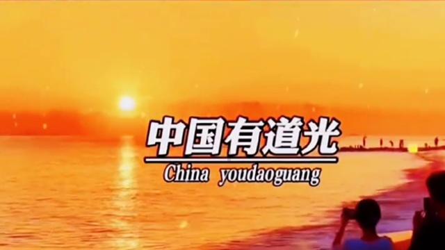 白莲花守则